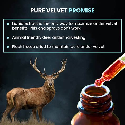 deer antler extract.